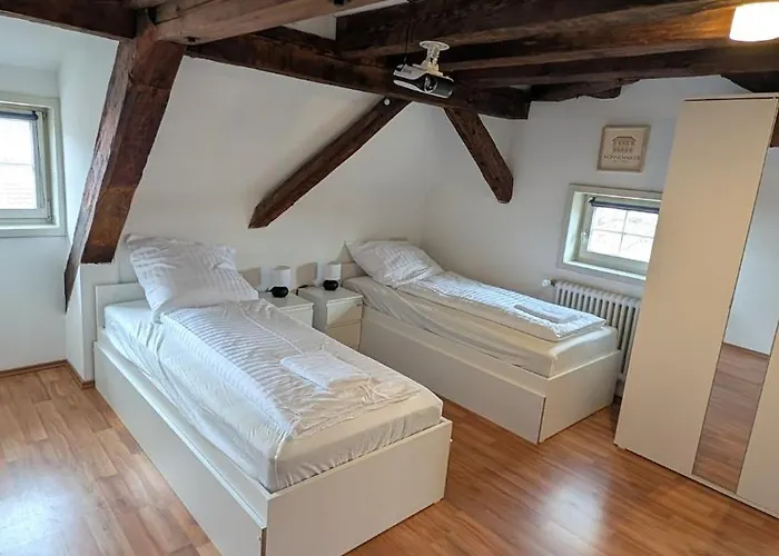 Twin In A Historic Half-timbered House 公寓